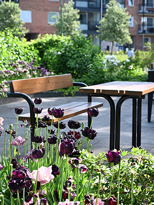 Ein Parktisch und Bänke im Freien, eingebettet in Natur, Blumen und Pflanzen.